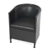 FÅTÖLJ THESELIUS NOIR 229-00