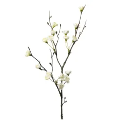 KONSTVÄXT BLOMKVIST