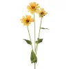 KONSTVÄXT ZINNIA