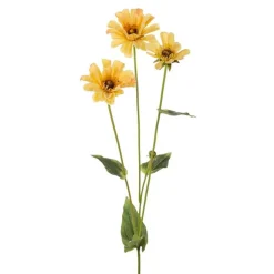 KONSTVÄXT ZINNIA