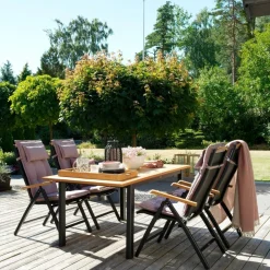 POSITIONSSTOL ANDY